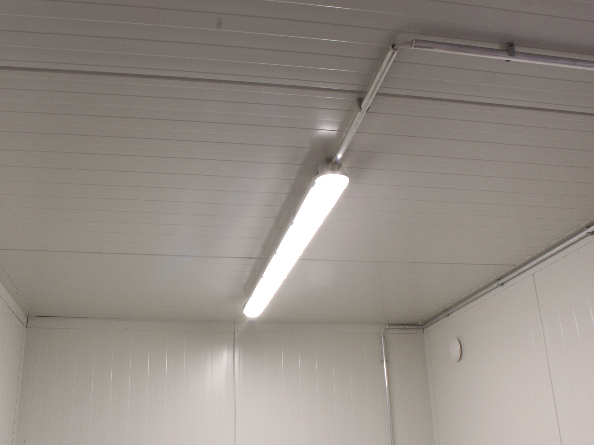 20ft Insulated Container for Sale